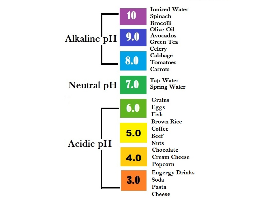 alkalizing foods