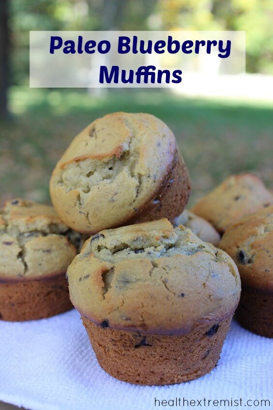 Coconut Flour Paleo Blueberry Muffins Recipe - These muffins are gluten free, dariy free, and paleo