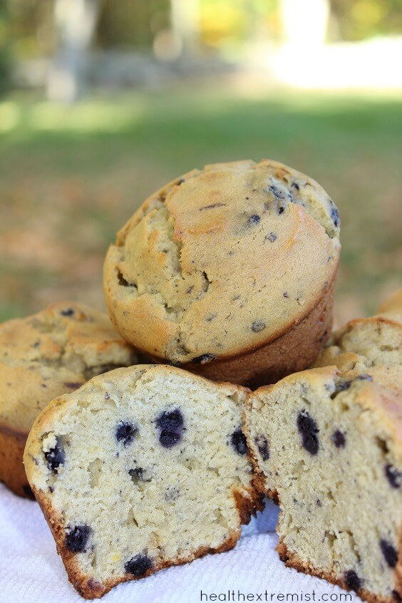 Paleo Blueberry Muffins - Coconut Flour Blueberry Muffins (gluten free)