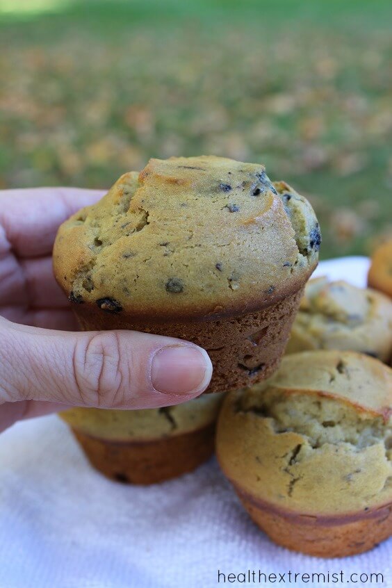 Paleo Blueberry Muffins - Delicious recipe for coconut flour blueberry muffins