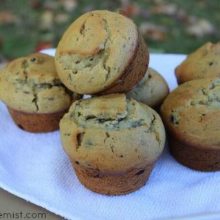 Paleo Blueberry Muffins Recipe - These delicious muffins are made with coconut flour. They're gluten free, grain free, and dairy free.