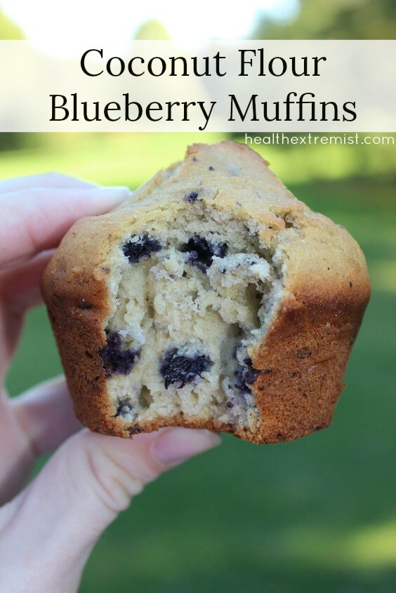 Coconut Flour Paleo Blueberry Muffins Recipe - Gluten free, grain free, dairy free recipe