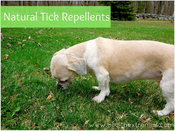 natural repellent for ticks