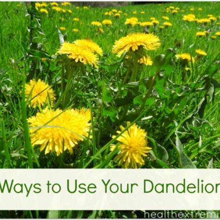 What to Do with Dandelions