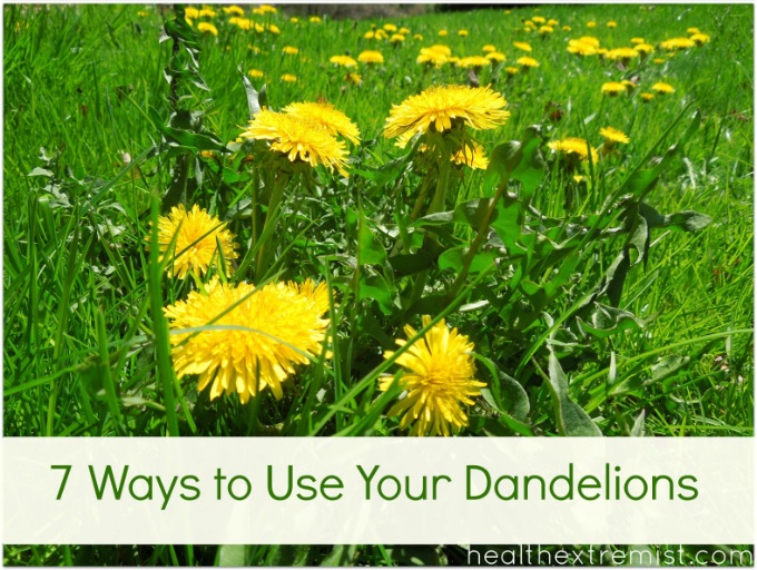 What to Do with Dandelions