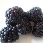 blackberries