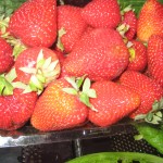 strawberries