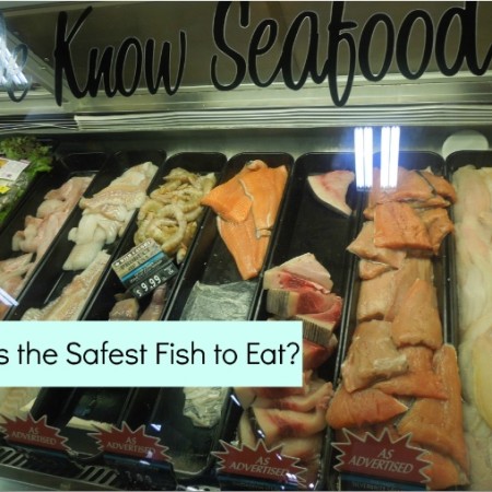 Healthiest Fish to Eat