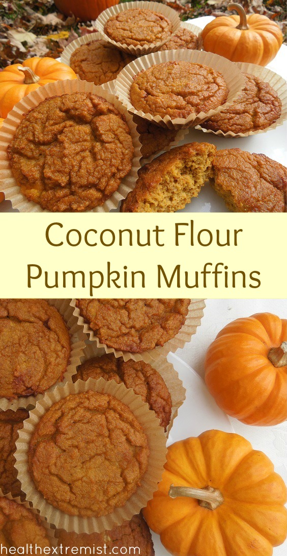 Paleo Pumpkin Muffins Made with Coconut Flour (gluten free and dairy free)