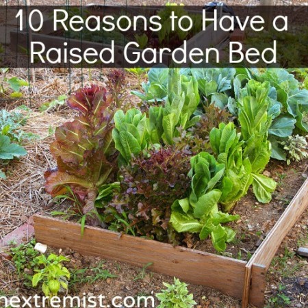 Benefits of Raised Garden Beds