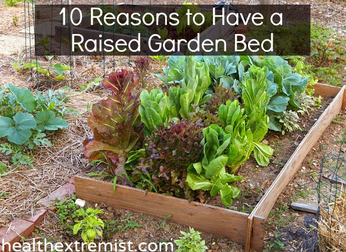 What Are The Benefits Of Using Raised Beds For Better Root Aeration?
