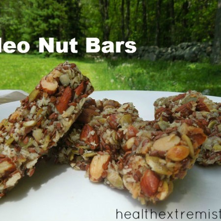 Delicious Paleo Nut Bars