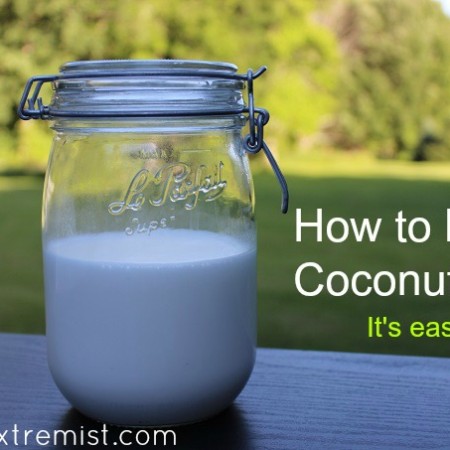 How to Make Coconut Milk (Only need 2 ingredients) - It's easy to learn how to make your own coconut milk with shredded coconut flakes and water. #coconut #coconutmilk #diy #makeyourown #healthy #milk #diaryfree #howtomakecoconutmilk