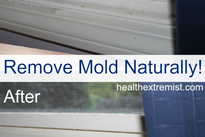 How to Get Rid of Mold Naturally - These 3 natural methods for removing mold are easy and inexpensive. #natural #diy #removemold #removemoldnaturally #mold