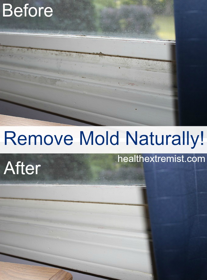 How To Get Rid Of Mold Naturally 3 Ways - How To Remove Mold From Bathroom Ceiling Naturally