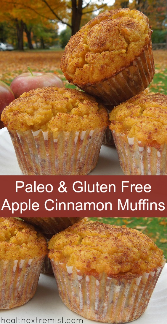 Paleo and Gluten Free Apple Cinnamon Muffins made with coconut flour, dairy free