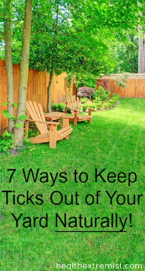 7 Great and Effective Ways to Keep Ticks Out of Your Yard