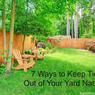 7 Ways to Keep Ticks Out of Your Yard Naturally