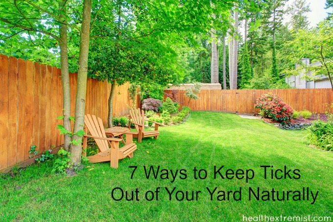 7 Ways To Keep Ticks Out Of Your Yard Naturally Health Extremist - How To Get Rid Of Ticks In Yard Diy