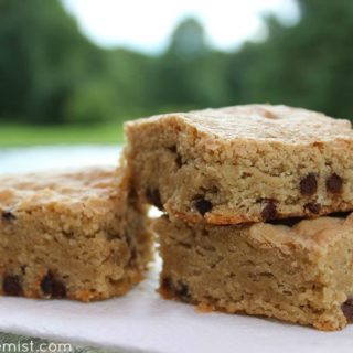 Paleo Blondies Recipe (with Chocolate Chips) - Gluten free, paleo, dairy free