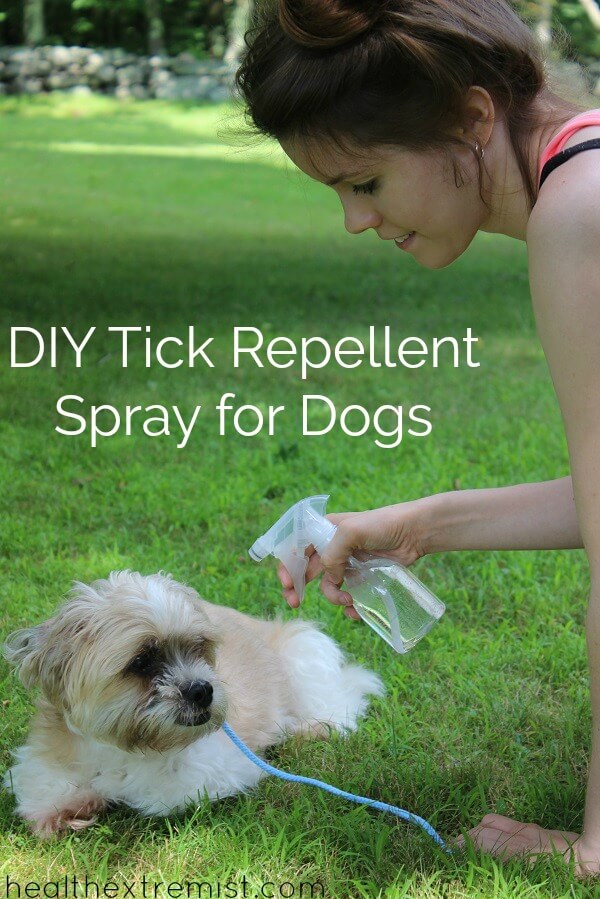 Natural DIY Tick Repllent Spray for Dogs Works Fast! I spray this homemade tick repellent on my dog before he goes outside to repel ticks. #diy #homemade #tickrepellent #diytickrepellent #ticks #dogs #naturalpet #naturaldog #naturaltickrepellent #dogs