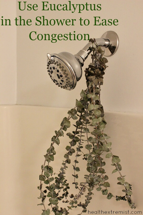 How to Use Eucalyptus in the Shower to Ease Congestion - Just hang some fresh eucalyptus in your shower and the essential oils will be released into the air.