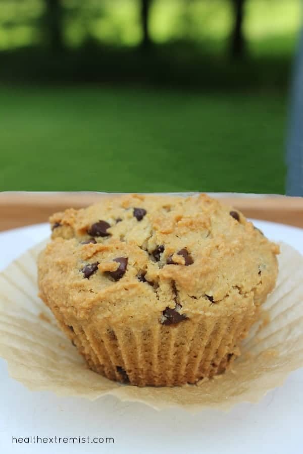 one chocolate chip muffin on a plate with muffin liner removed