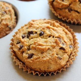 Chocolate chip muffins in muffin pan with text overlay - paleo chocolate chip muffins